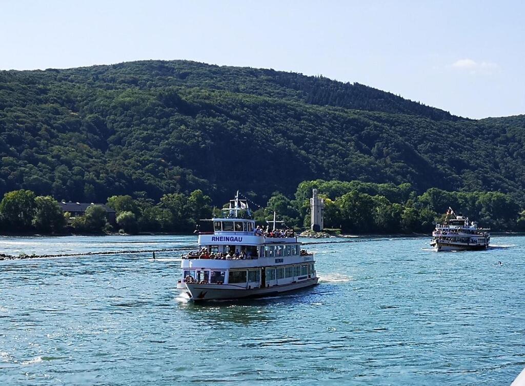 Apartment Peace Bingen am Rhein